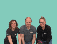 Flower Wow GIF by Hofland Flowering and Plants