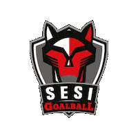 Goalball Sticker by Sesi Esporte