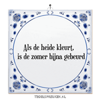 Humor Reflectie Sticker by Tegelspreuken.nl
