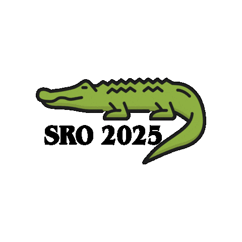 Southern Region Oireachtas Sticker by KAID