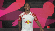 Rb Leipzig Hello GIF by Bundesliga