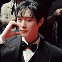 Lights Camera Celebrity GIF