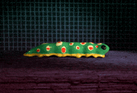 Stop Motion Nft GIF by PES