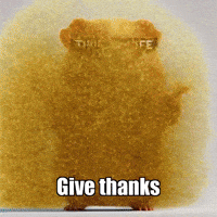 Unity Flower GIF by Guinea Gambino