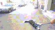 home park GIF