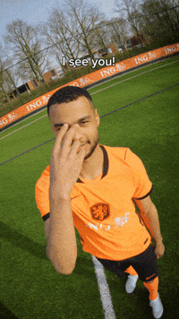 Ing Gakpo GIF by INGNederland