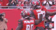 Regular Season Football GIF by NFL
