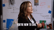 Olivia Benson Noob GIF by NBC