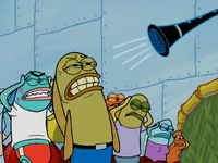 season 4 GIF by SpongeBob SquarePants