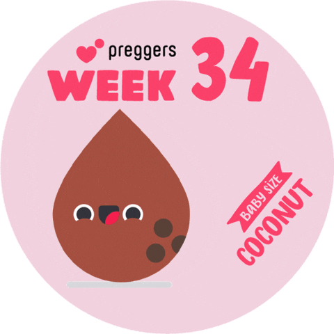 Baby Pregnancy Sticker by Preggers