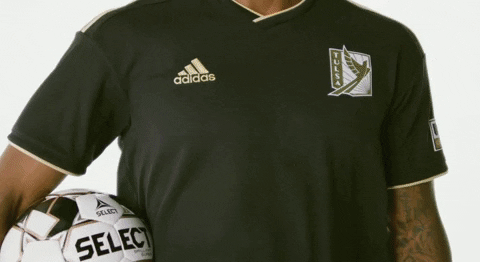 FCTulsa giphygifmaker sports soccer usl GIF