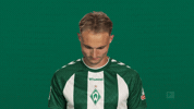 Look Up Werder Bremen GIF by Bundesliga
