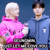 Stray Kids Love GIF
