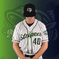 GoStripers look up gwinnett stripers soroka GIF