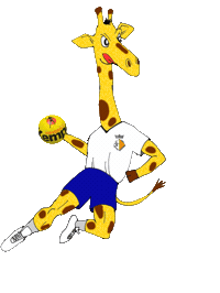 Handball Sticker by Club Handbol Sant Esteve de Palautordera