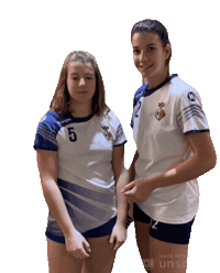 Swipeup Sticker by Club Handbol Sant Esteve de Palautordera