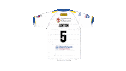 The Wire Ashton Sticker by Warrington Wolves