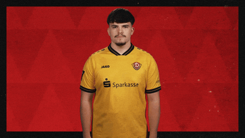 Dynamo Dresden Football GIF by Bundesliga