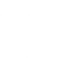 christine-sauer good day today GIF