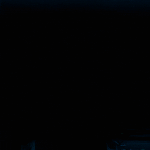 Car Chimp GIF by Primate Movie