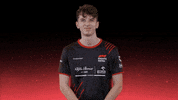 sauberesports oh no oh dear sauber wince GIF