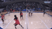 ncaasports ncaa volleyball ncaavb pennstate GIF