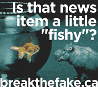 MediaSmarts  GIF