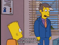 bart simpson principle skinner GIF