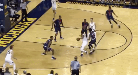 GIF by Michigan Athletics