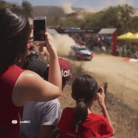 Watching Fast Car GIF by FIA World Rally Championship