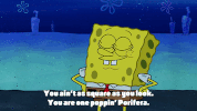 season 9 episode 20 GIF by SpongeBob SquarePants