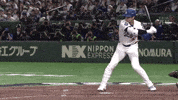 Home Run Sport GIF by MLB