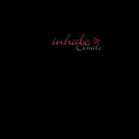 Horse Exhale GIF by Sibai-Arabians