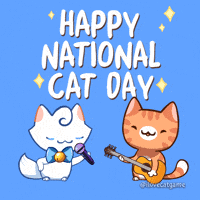 Happy White Cat GIF by Mino Games