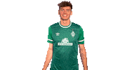 Wave Nick Sticker by SV Werder Bremen
