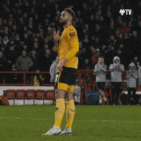 Premier League Football GIF by Wolves