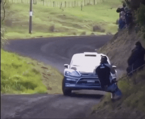 Ford Rally GIF