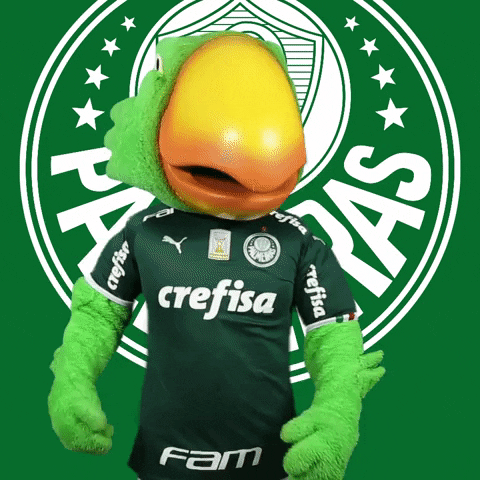 Palmeiras giphyupload dance soccer futebol GIF