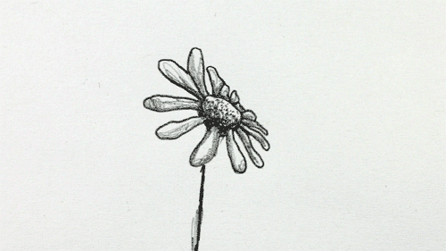 flower dancing GIF
