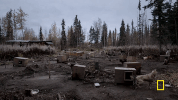 life below zero GIF by National Geographic Channel