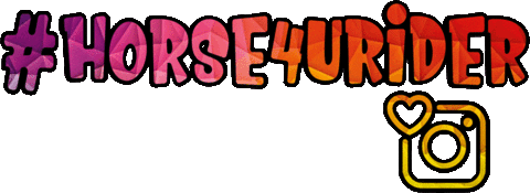 Horse4u giphyupload pferd cavallo horse4u Sticker