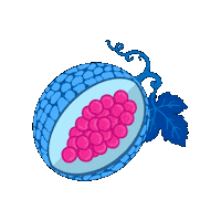 Fruit Melon Sticker