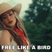 Free Bird Official Music Video GIF by Maddie And Tae