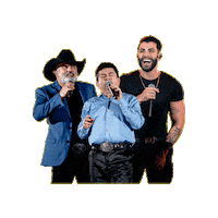 Gusttavo Lima Gustavo Sticker by José Divino e Luiz Felizardo