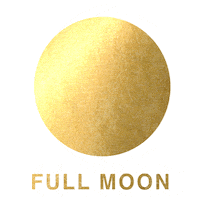 New Moon Love Sticker by Danielle LaPorte