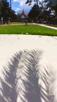 solar eclipse shadow GIF by University of Florida