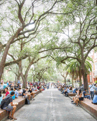 plaza of the americas uf GIF