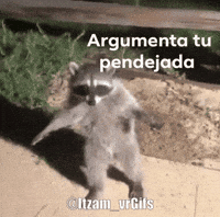 Argumenta GIF