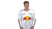 Ice Hockey Rubbing Hands Sticker by EC Red Bull Salzburg