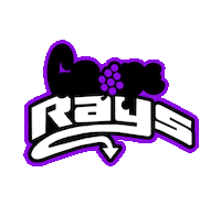 Cheer Rays Sticker by The Stingray Allstars